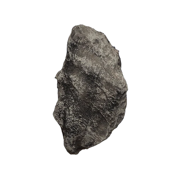 Rock #10