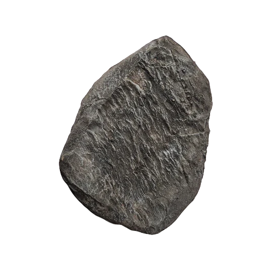 Rock #13