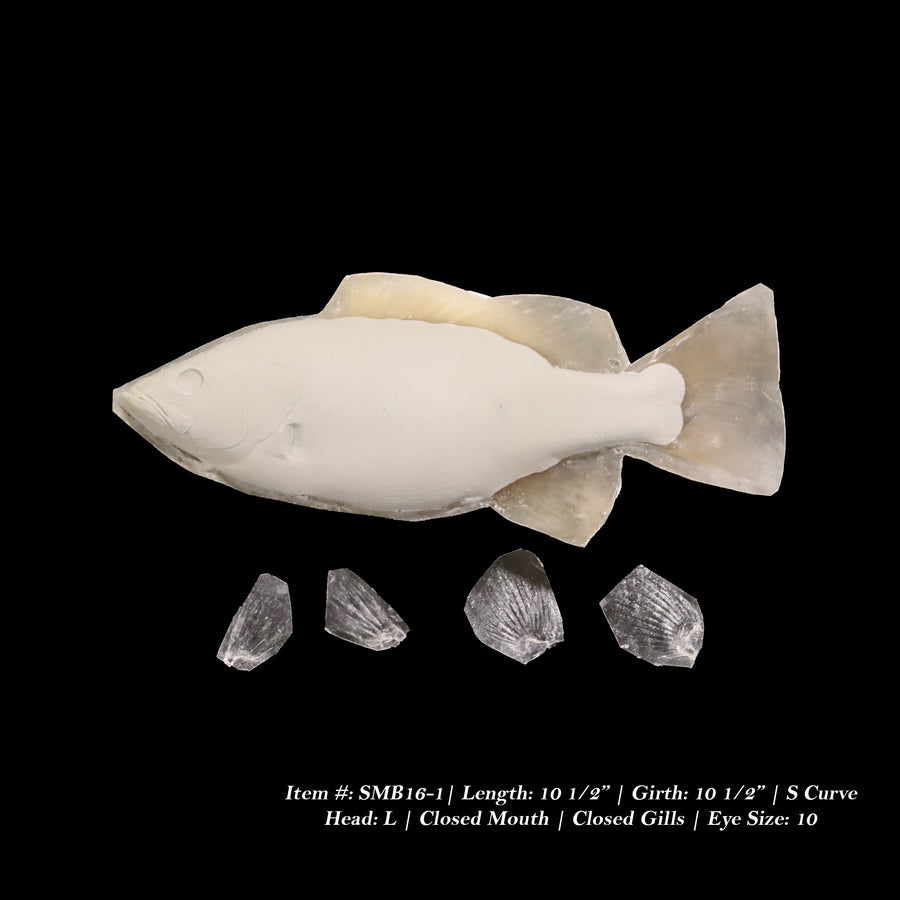 Smallmouth Bass Reproductions - Blanks by Matt Welsh