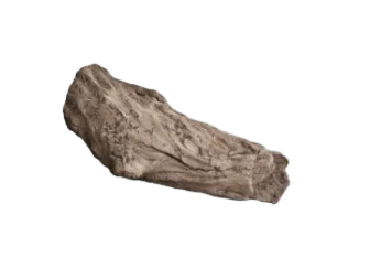 Small Limb