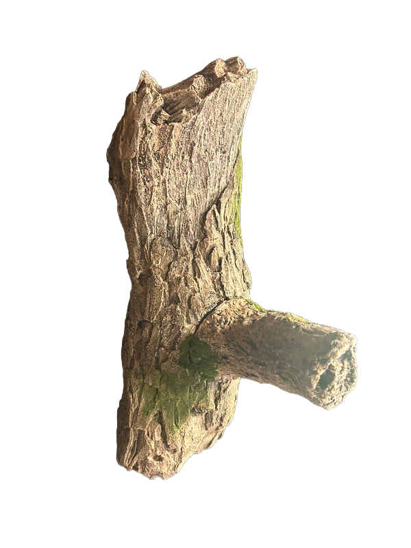 Tree Limb with Perch