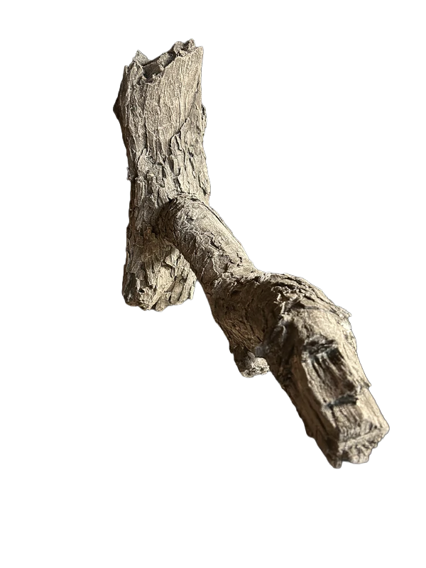 Turkey Limb Sculpted by Randy Woodall