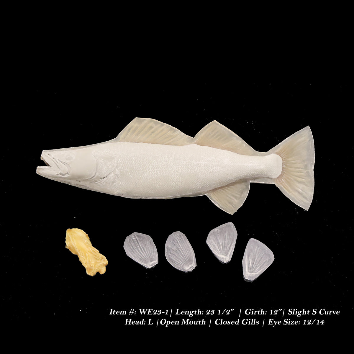 Walleye Reproductions - Blanks by Matt Welsh
