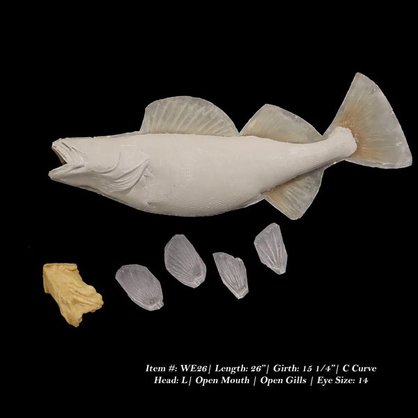 Walleye Reproductions - Blanks by Matt Welsh