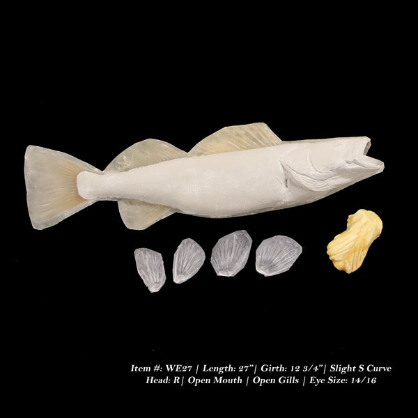 Walleye Reproductions - Blanks by Matt Welsh