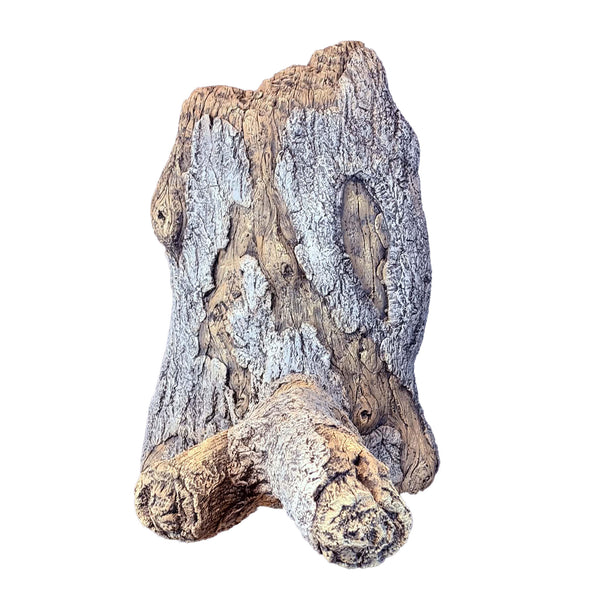 Split Apple Turkey Limb