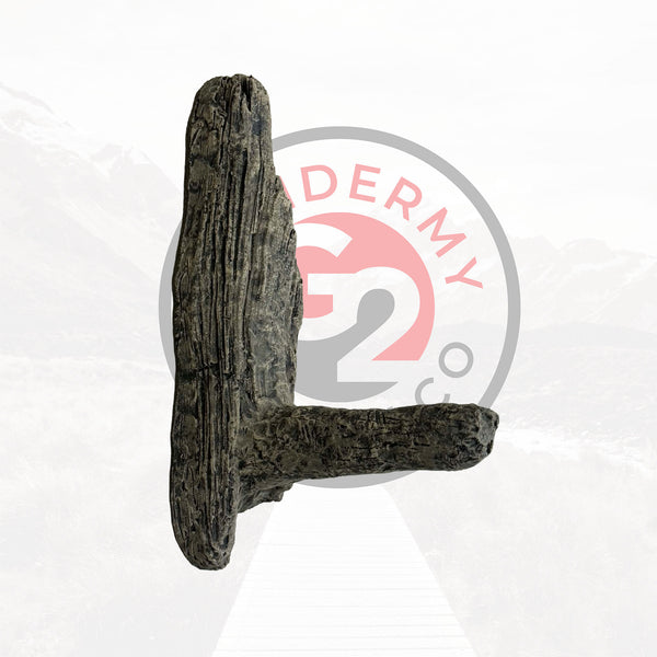 Wood Duck Limb
