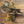 Load image into Gallery viewer, Wood Duck Limb

