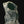 Load and play video in Gallery viewer, Wood Duck Stump
