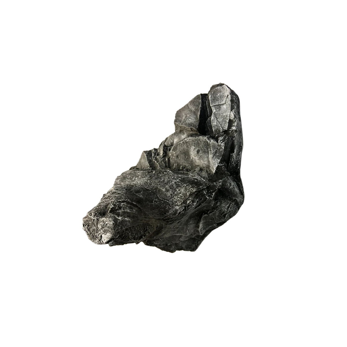 Small Multi Rock Ledge - G2 Taxidermy Supply – G2 Taxidermy Supply