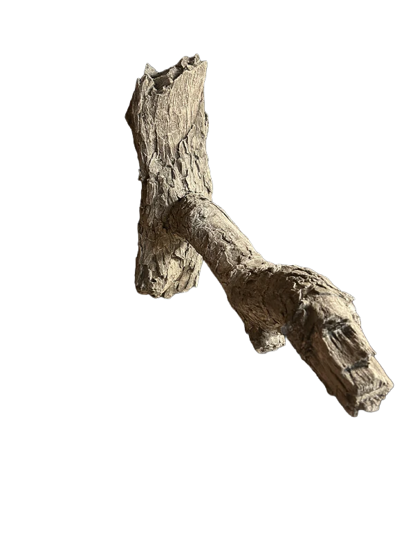 Turkey Limb Sculpted by Randy Woodall