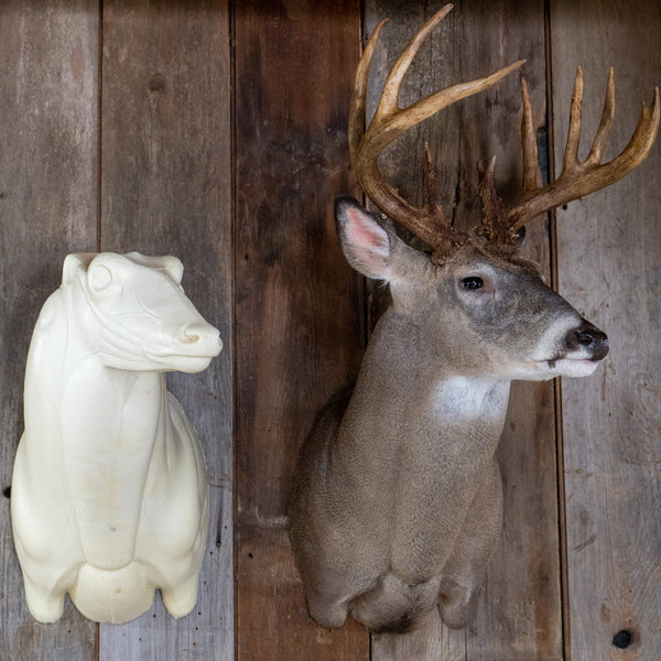 Semi Upright Whitetail Deer Forms - McCredie Series