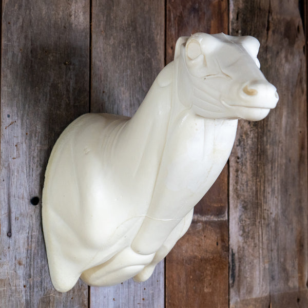 Semi Upright Whitetail Deer Forms - McCredie Series