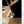Load image into Gallery viewer, Champions Choice Whitetail Deer Flehmen Mouthpiece - Medium
