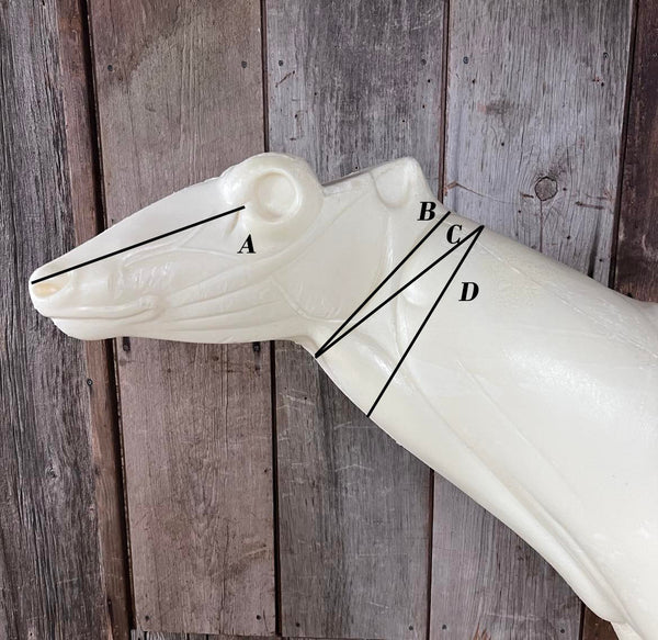 Semi Upright Whitetail Deer Forms - McCredie Series