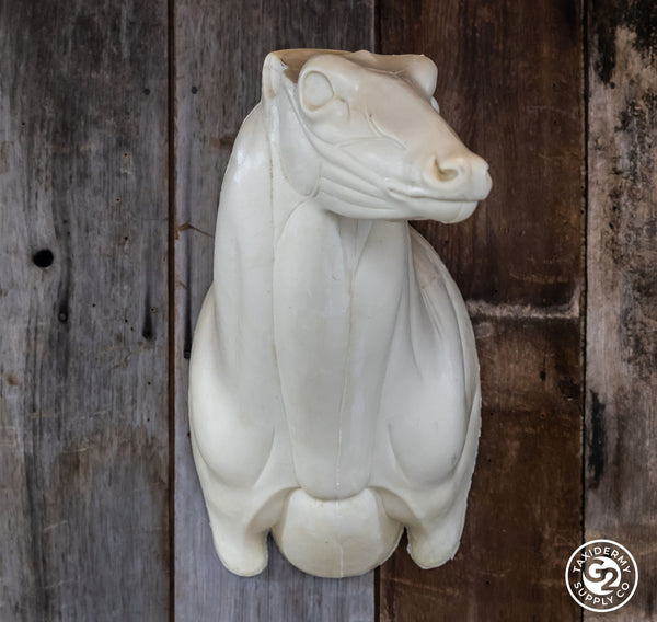 Semi Upright Whitetail Deer Forms - McCredie Series