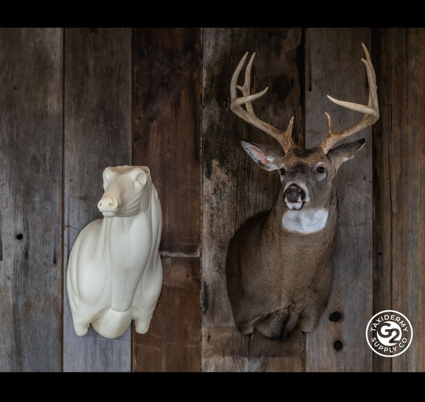 Semi Upright Offset Whitetail Forms - McCredie Series