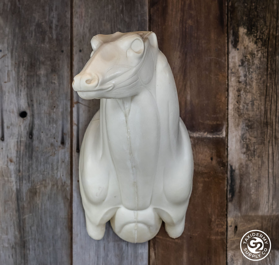 Semi Upright Whitetail Deer Forms - McCredie Series